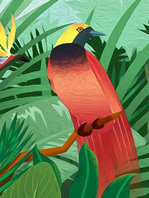 发现最美的鸟：新几内亚岛观鸟指南
